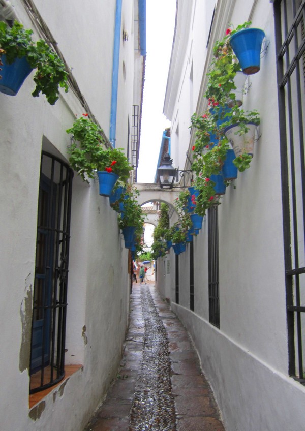 Cordoue callejon de los flores