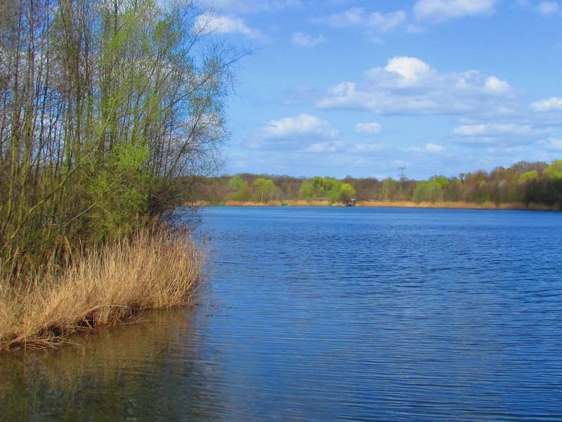 Leipzig  petit lac de Cospudener