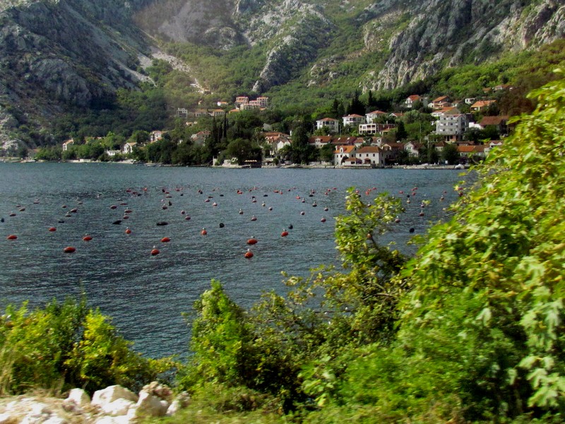 Montenegro baies de Kotor