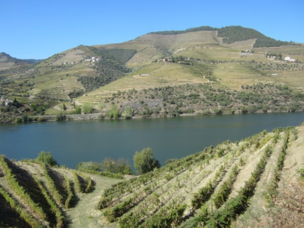 vallée du Douro