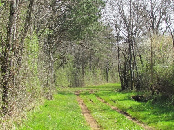 Bois de Mairé