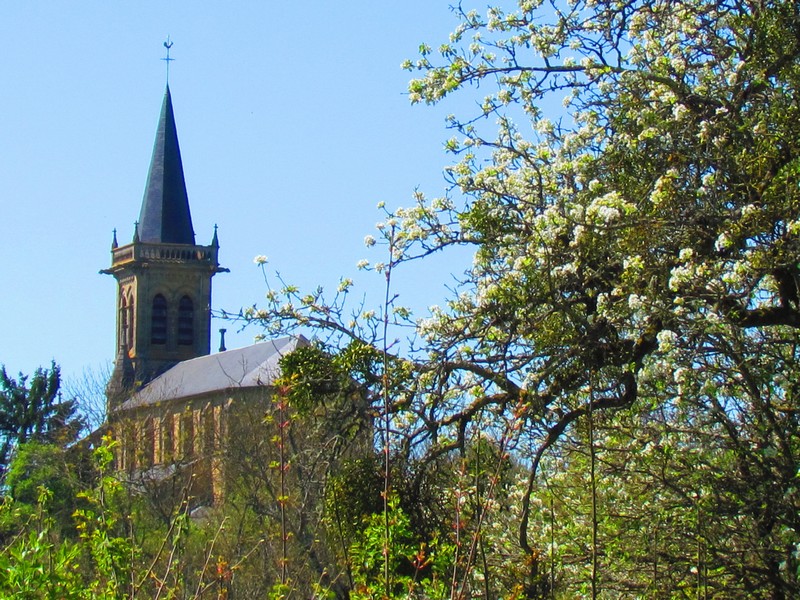 Bona église vue du bas