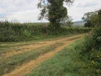 Bretonnière droite