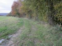 Chemin Giverdy2jpg