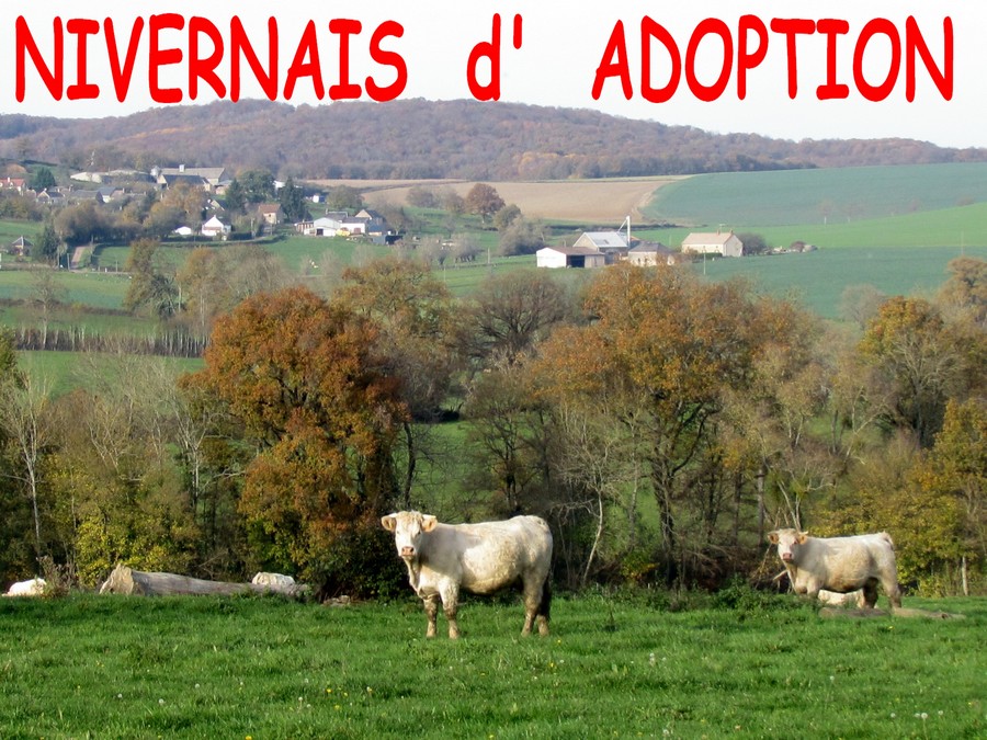Nivernais d adoption