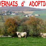 Nivernais d adoption