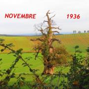 Novembre 1936