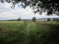 Quarts orée