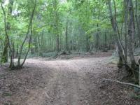 Quarts vtt