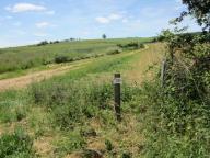 Ruches chemin haut