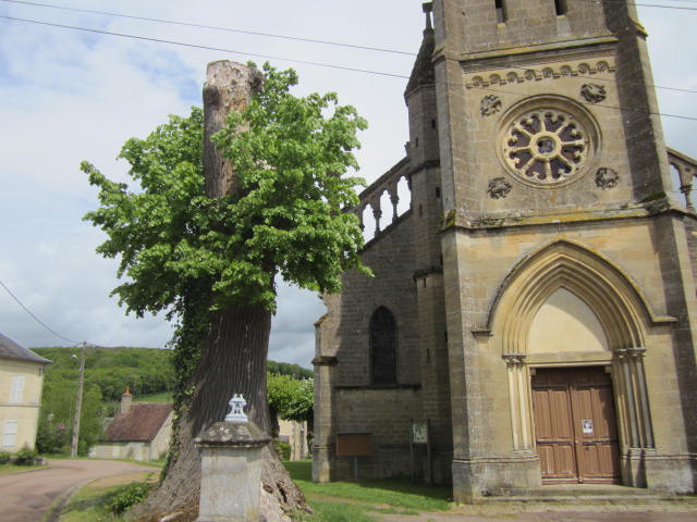 Tilleul église