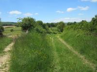 Vers chemin vaux Lichy